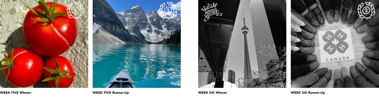 Ignite Winners Week 5 &amp; 6