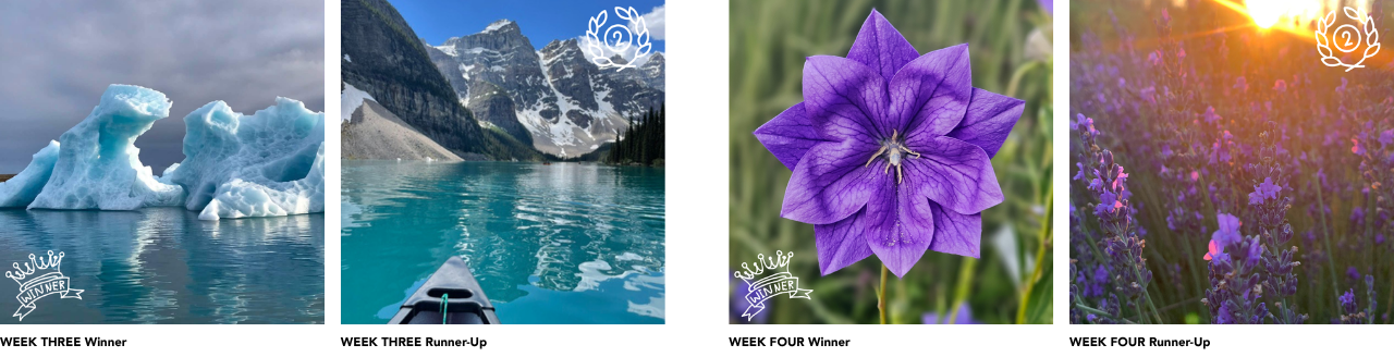 ignite wk 4 winners