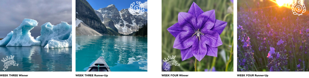 Ignite Winners Week 3 &amp; 4