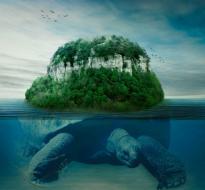 IndigenousStoriesArt_Logo.jpg A large turtle underwater carrying an island on its back