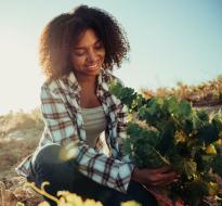 seed-library.jpg A person sitting on the ground harvesting vegetables