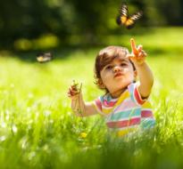 sPark_Literacy_logo.jpg a kid sitting in the grass pointing at a butterfly