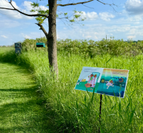 tales trails square