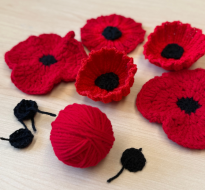 poppy patterns square