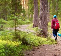 Father and boys walking in nature