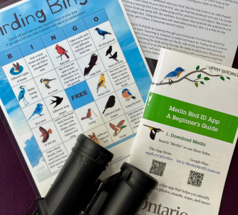 Library of Things - Bird Watching Kit