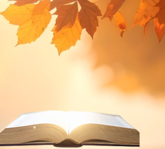 Fall Into Reading