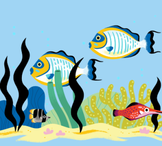 Ocean Adventure Club