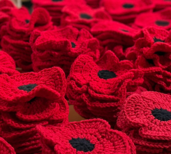 Remembrance Day Poppies hero