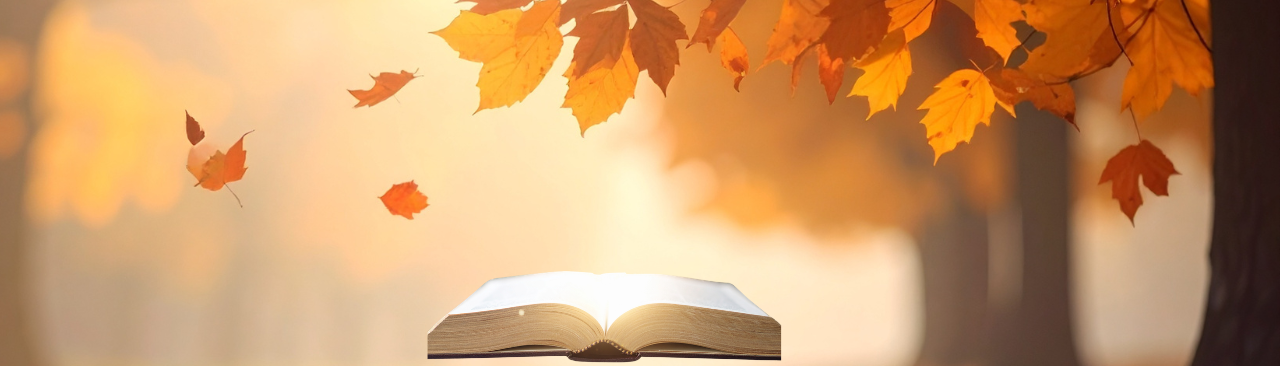 Fall Into Reading