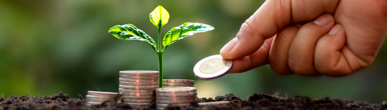 Mind_over_money_hero.png a person placing a coin on a stack of coins at the base of a plant
