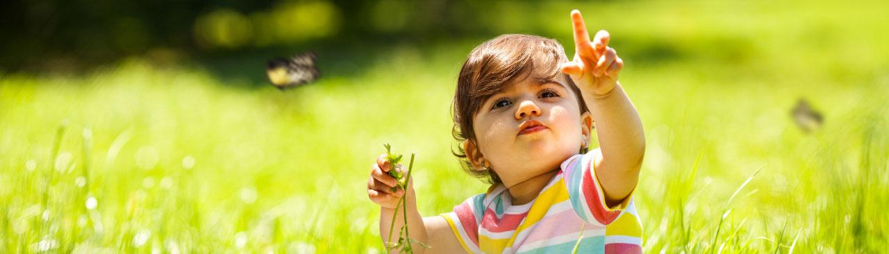 sParkLiteracy_hero.jpg A young child in a sunny filed pointing at a butterfly