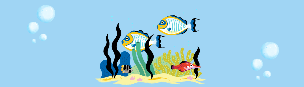 Ocean Adventure Club