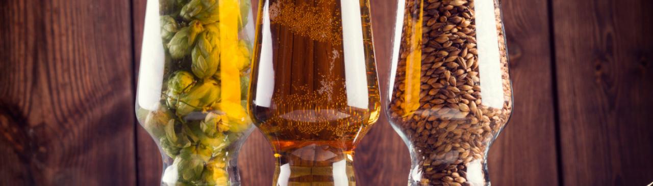 pints-and-pages-event.jpg three beer glasses and a book
