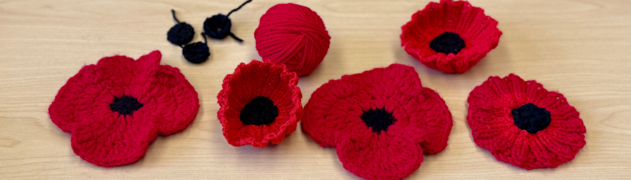 poppy project hero