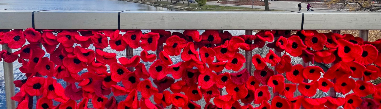 Poppy Project web