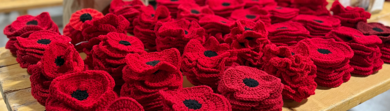 Remembrance Day Poppies hero