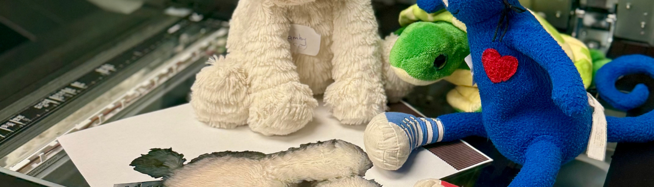 Stuffy's Great Escape