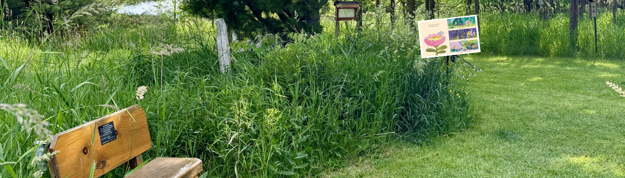 Colette: The Solitary Bee