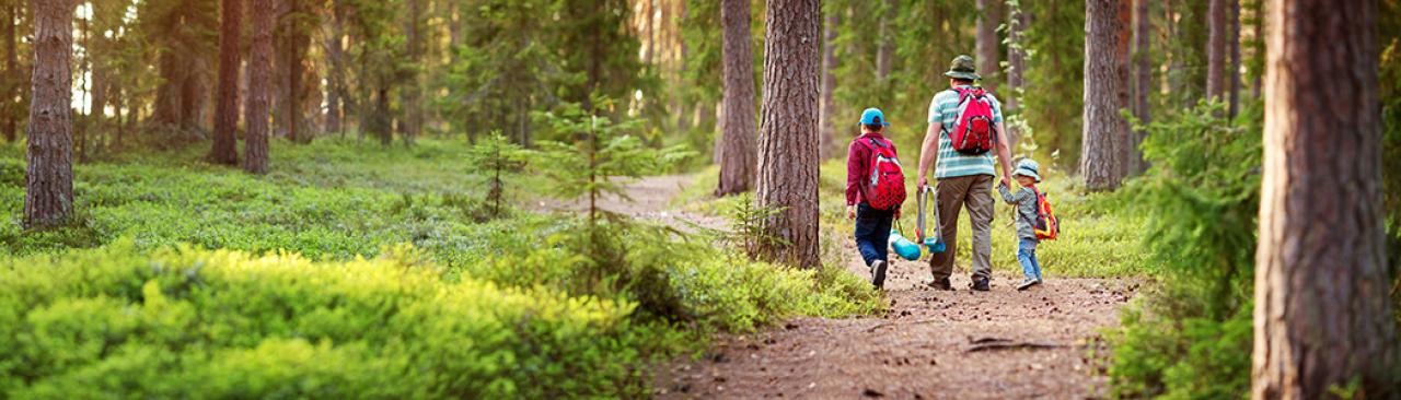 Father and boys walking in nature