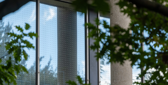 Bird Friendly Windows