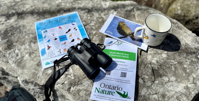 Bird Watching Kits