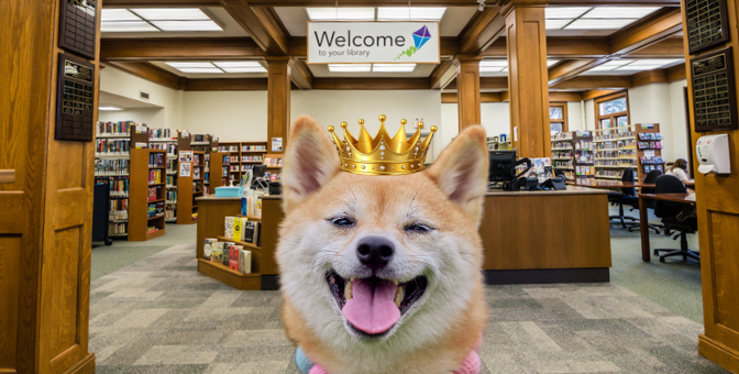 Teen Petfluencer Contest